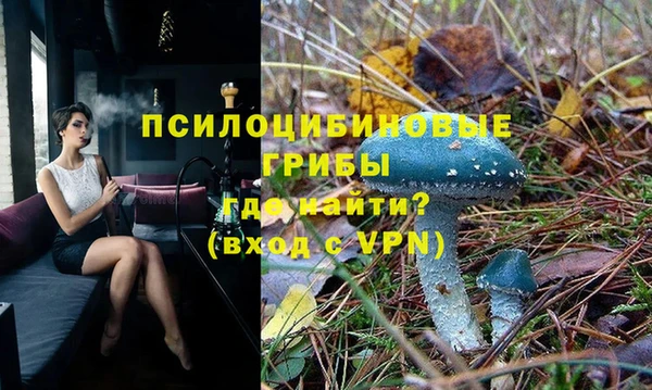 эйфоретик Аркадак
