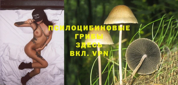 эйфоретик Аркадак