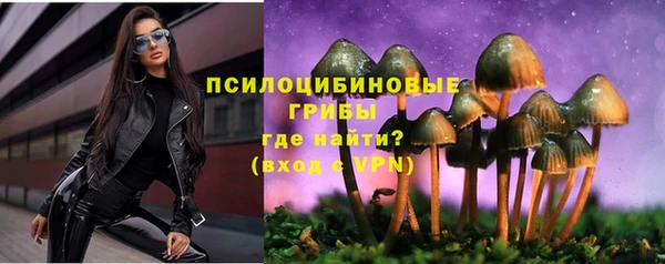героин Алексин