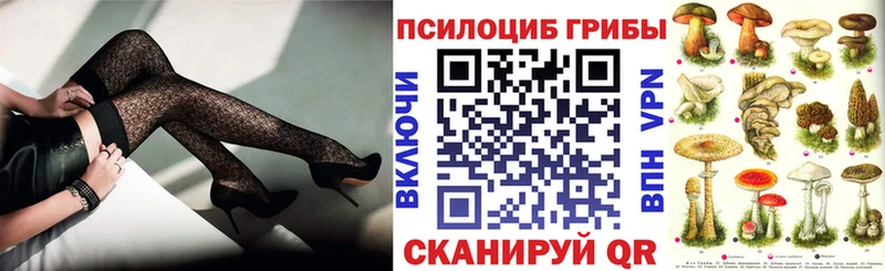 Галлюциногенные грибы Psilocybine cubensis Волгодонск