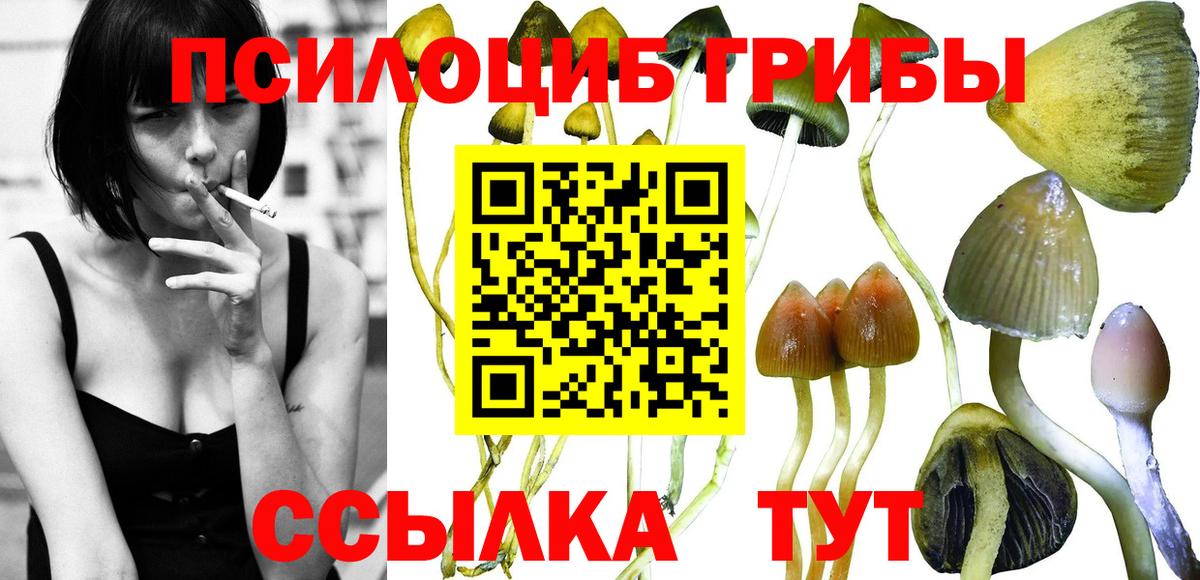 Псилоцибиновые грибы мицелий  Галлюциногенные грибы мухоморы  Вход с VPN  Волгодонск 
