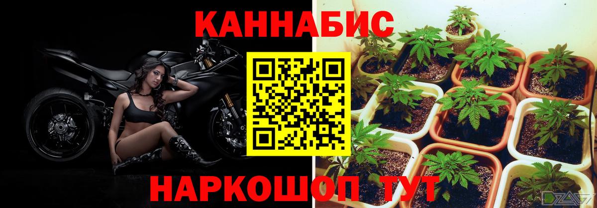 Марихуана ГИДРОПОН  Вход с VPN  Волгодонск  Конопля Amnesia  Канабис план 